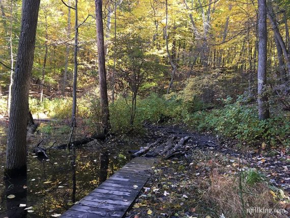 Boardwalk and logs over a wet area.