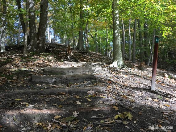 Wooden log steps on a hilly trail.