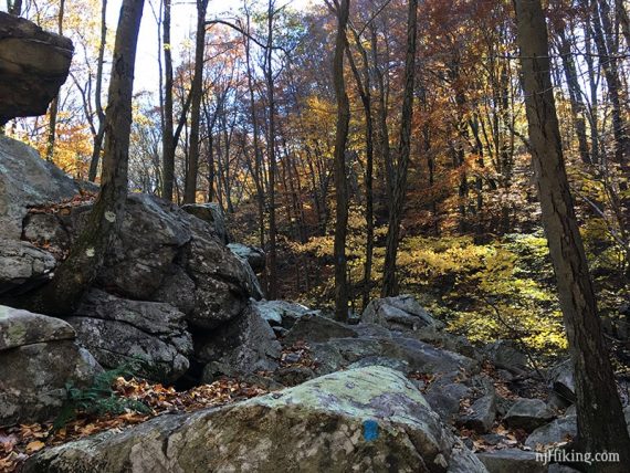 Large boulders covering a trail.