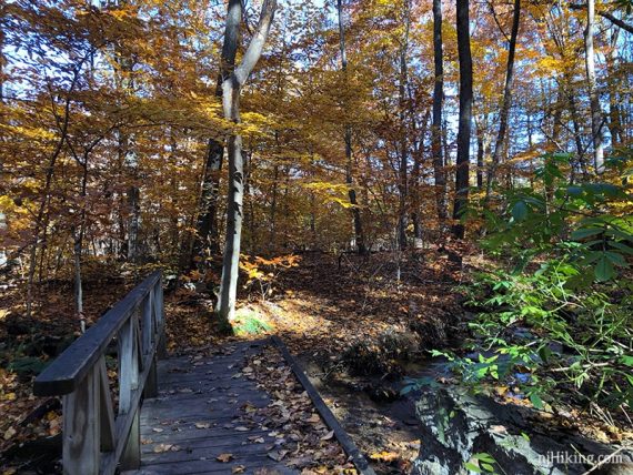 Wooden footbridge.