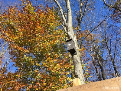 Bat box above trailhead