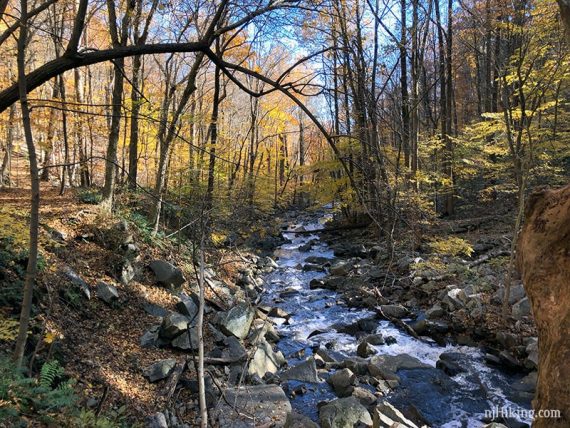 Fall foliage around a small rock filled stream.