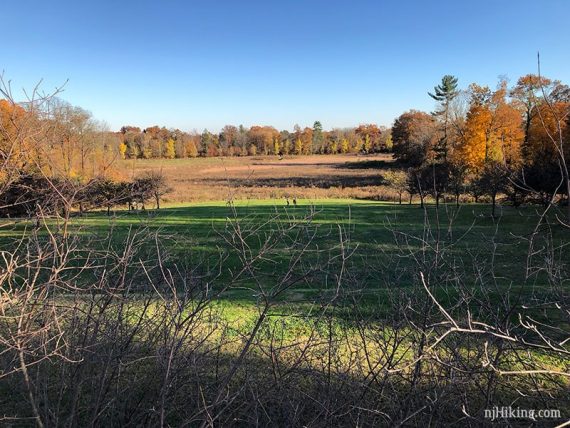 Fields surrounded by colorful trees at Duke Farms.