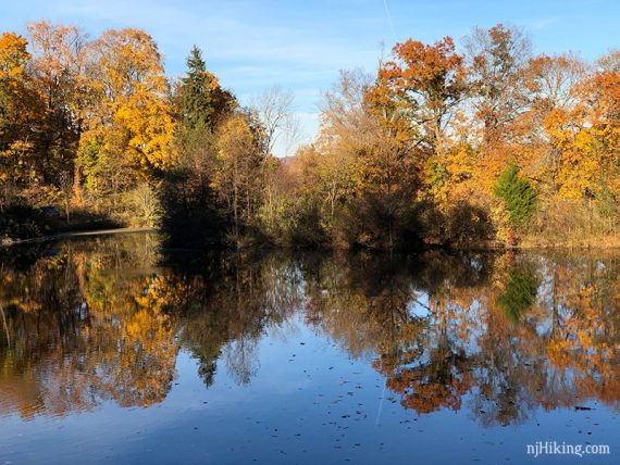 Orange foliage reflected in water.