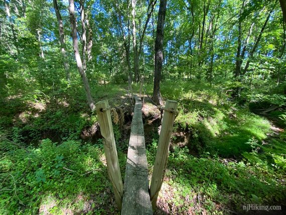 Narrow wooden bridge with angled posts.