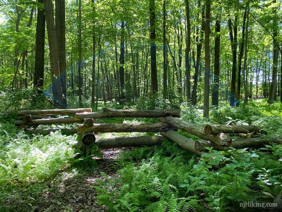 Logs stacked as a fence.