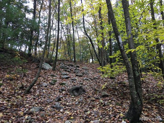 Rocky Appalachian Trail.