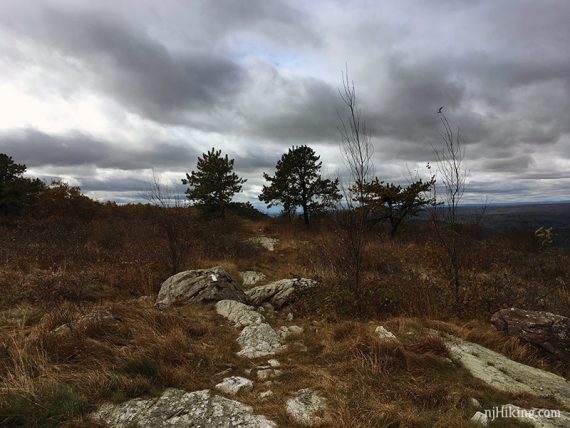 Blue Mountain summit, looking south