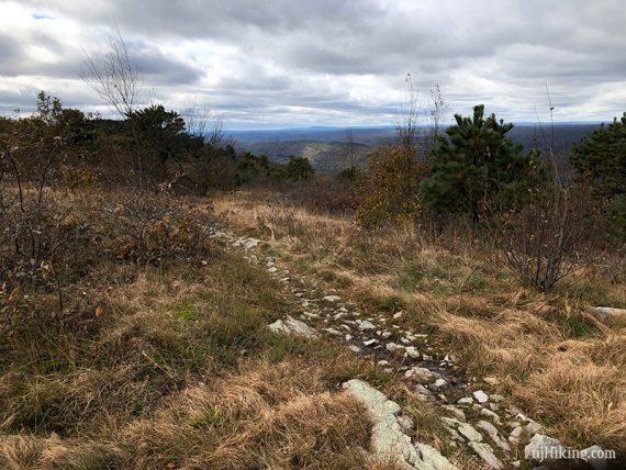 Blue Mountain summit, looking south