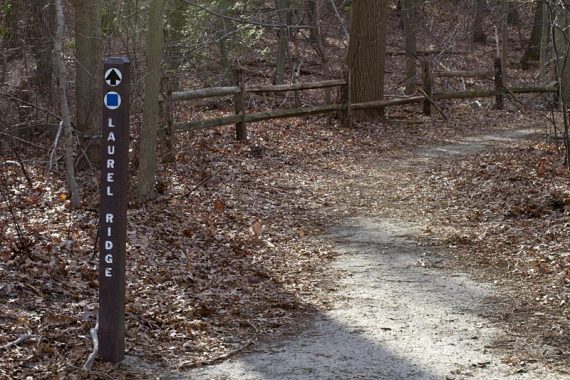 Trail marker for Laurel Ridge Trail