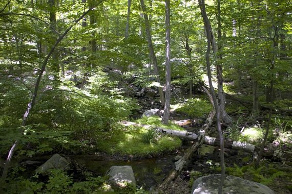 Old Guard Trail