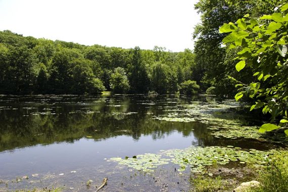 Lake at Camp Glen Gray