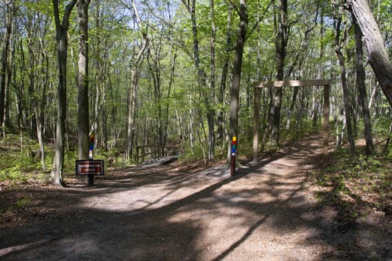 Trail sign, marker post, and wooden arch at a junction.