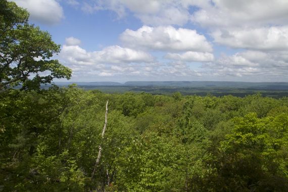 Delaware Water Gap seen in the distance over trees