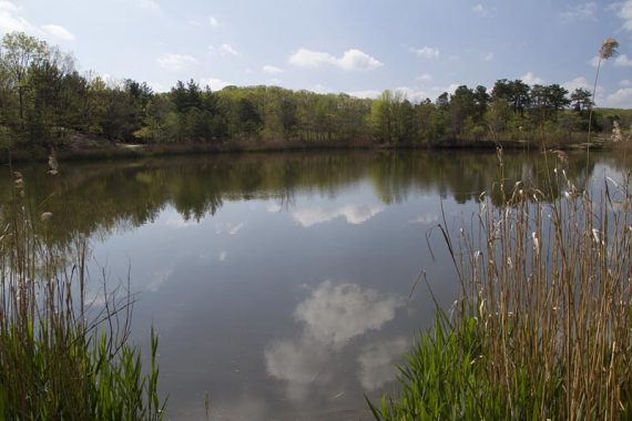 Perrine Pond, on the BLUE trail