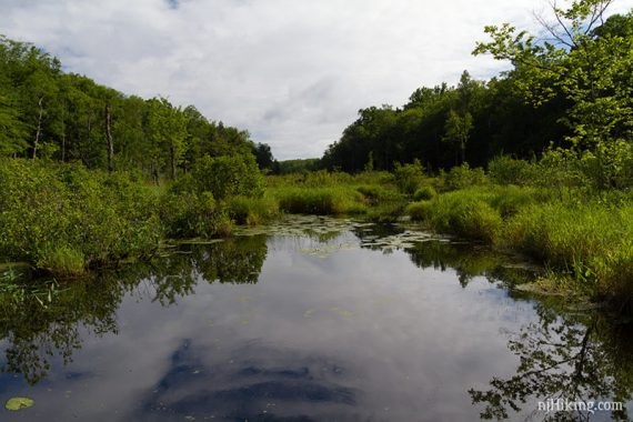 Small pond with green trees in the background on the Double Pond trail