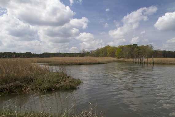 Steamboat Landing on Cheesequake Creek