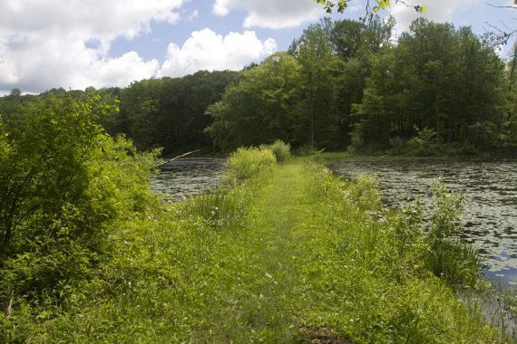 Grassy section between Ghost Lake