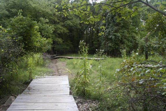 Boardwalk on the Green trail washed way over to the right