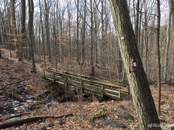 Teal and pink blazes on a tree before a wooden bridge