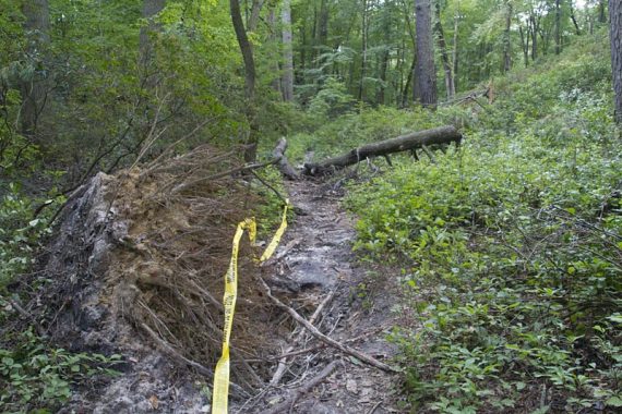 Green trail damage