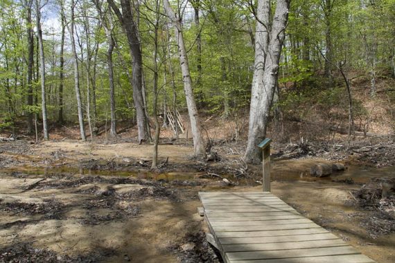 Wet trail area with boardwalk