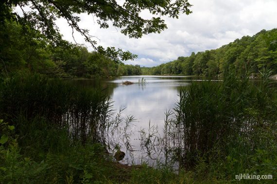 Lake Lookout with a beaver dam in the distance