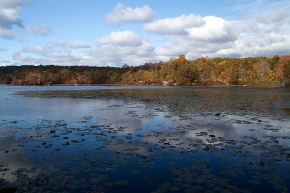 Ramapo Lake