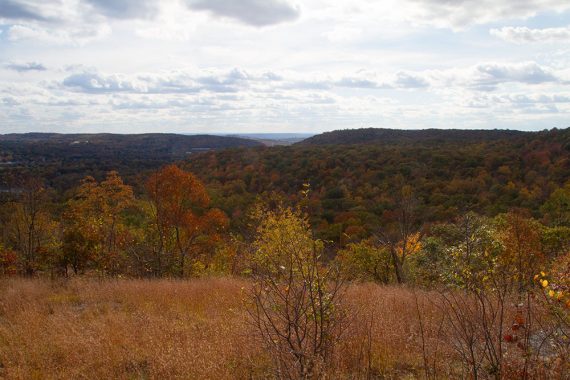 View from Todd Trail