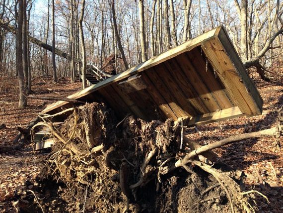 Uprooted section of boardwalk on the GREEN trail