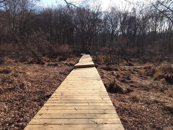 New boardwalk that replaced a washed out section from Irene