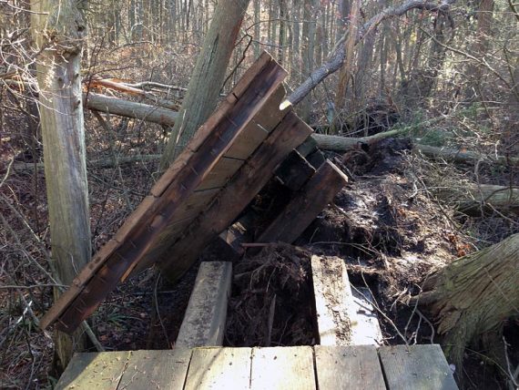 Closer look (we walked over to see the damage, the trail is re-routed away from this)