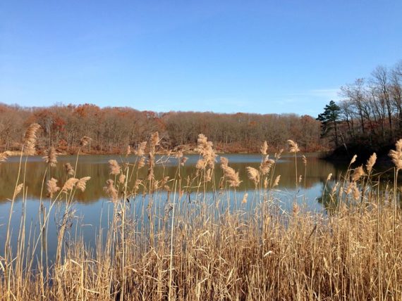 Hooks Creek Lake, off the YELLOW trail