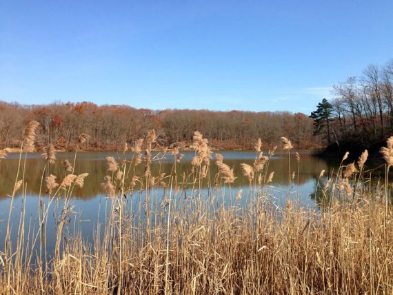 Hooks Creek Lake, off the YELLOW trail