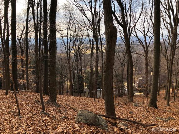 Partial view on Vista Trail (Pink)