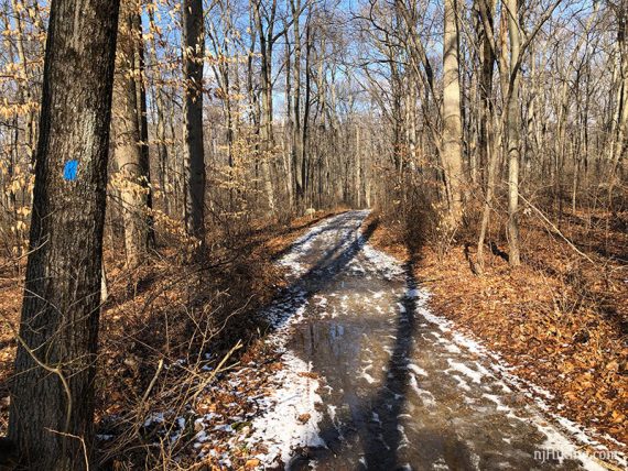 Hill Acres trail