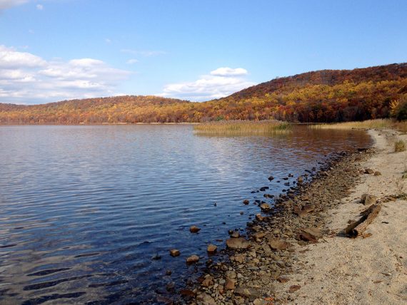 Little sandy beach by picnic area