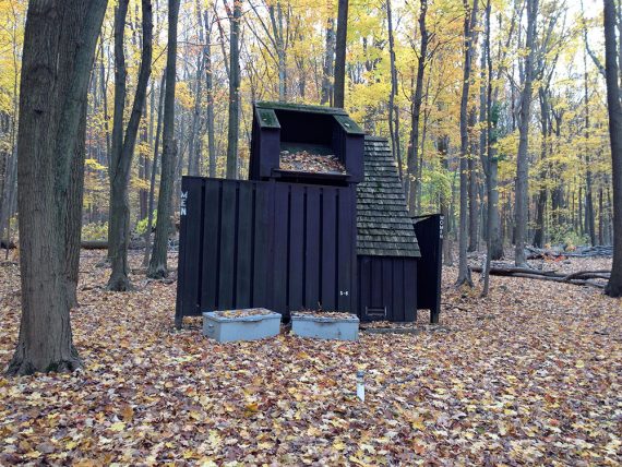 Rustic latrines along the Campground Trail