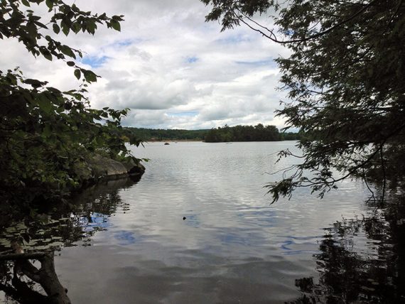 Wawayanda Lake with trees on either sides and a cloudy sky