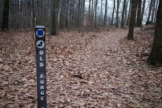 Old Forge trail signpost.