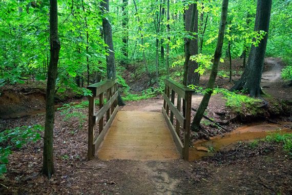 Wooden trail bridge over a muddy creek.