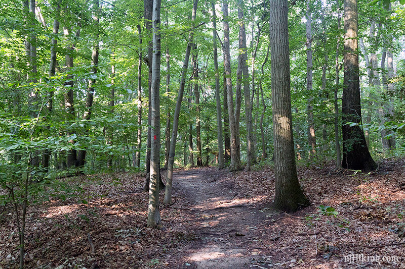 Thompson Park Middlesex County