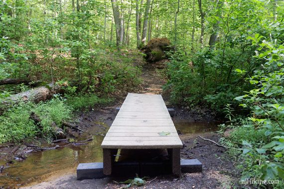 Small wooden bridge over a stream.