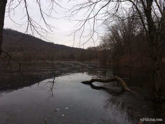 Scarlet Oak Pond