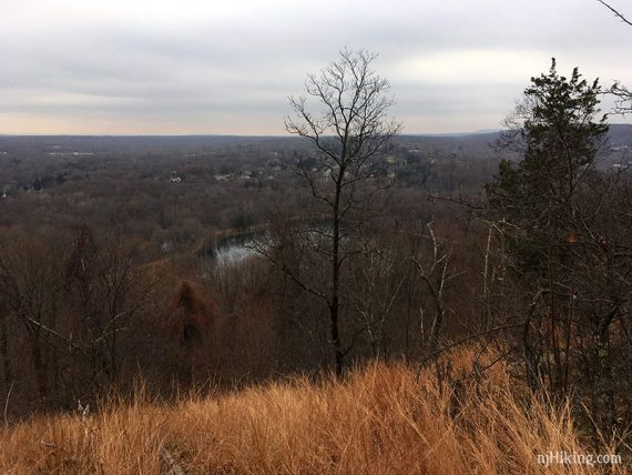 Cactus Ledge viewpoint