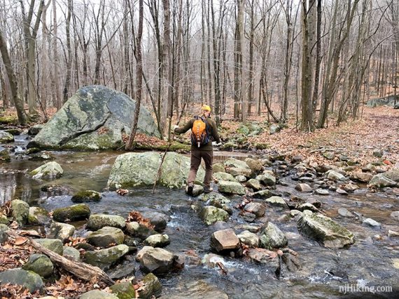 One of many stream rock hops along the route.