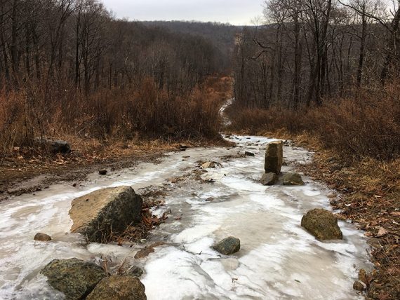 Icy power line cut