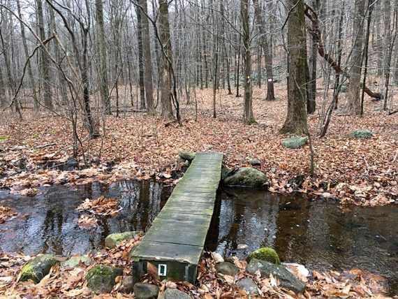 Bridge on Halifax