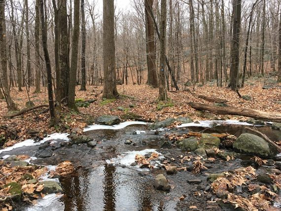 Another stream crossing