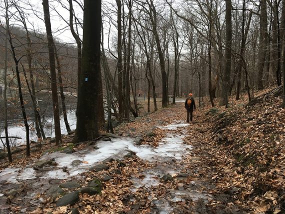 Ridge Loop near Macmillan Reservoir